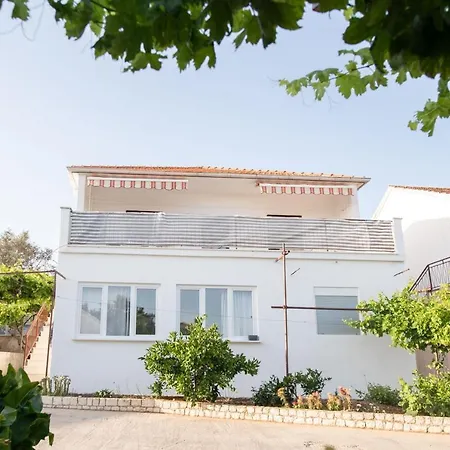 Amaryllis * روغوزنيكا