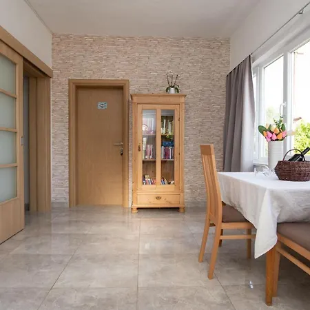 Amaryllis * Rogoznica