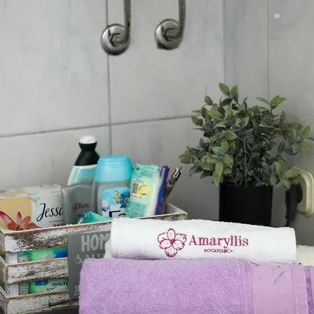 Amaryllis 로고즈니차