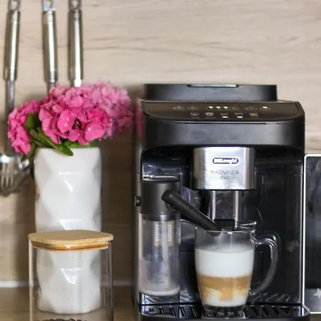 Amaryllis * Rogoznica