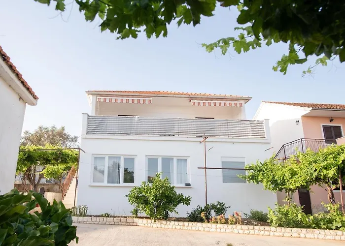 Amaryllis * Rogoznica (Sibenik-Knin)