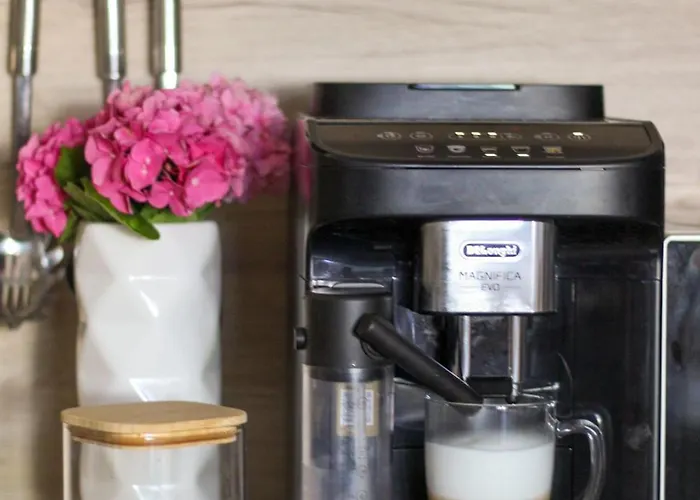 Amaryllis * Rogoznica (Sibenik-Knin)